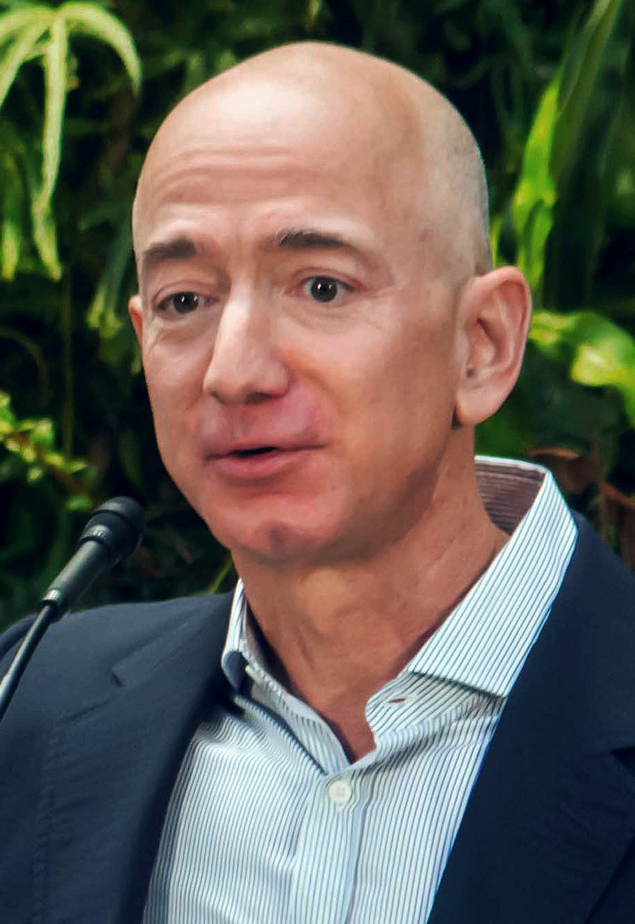 Portrait of Jeff Bezos