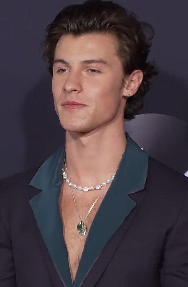 Portrait de Shawn Mendes